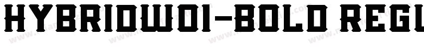 HybridW01-Bold Regul字体转换